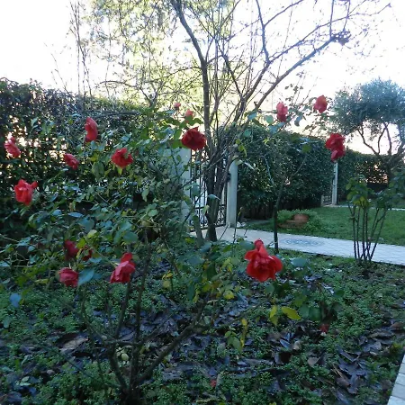 Venezia Le Tre Rose B&B 메스트레